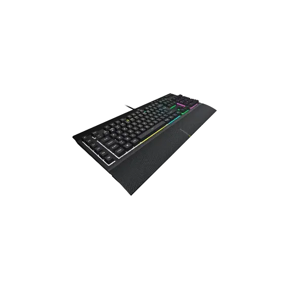 003052_1_1-Photoroom (22).webp