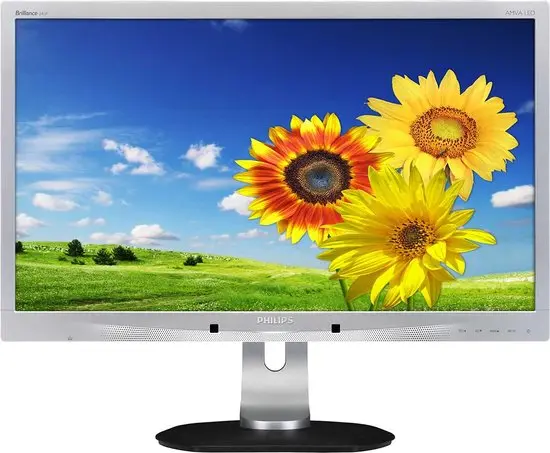 PHILIPS Brillance 241P / 24" Full HD / 16:9 / Ecran Silver (1920x1080) - Reconditionné - Grade A                                        