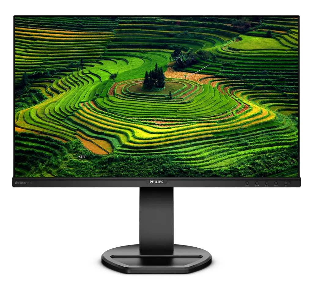 PHILIPS 241B8Q / Monitor 24" Full HD IPS / HDMI • DVI-D • VGA • DisplayPort / Reconditionné - Grade A+ 